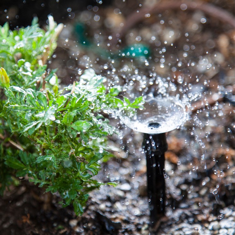 Outdoor services in Ypsilanti, MI