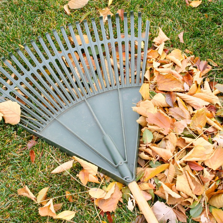 Outdoor services in Ypsilanti, MI Outdoor services in Ypsilanti, MI