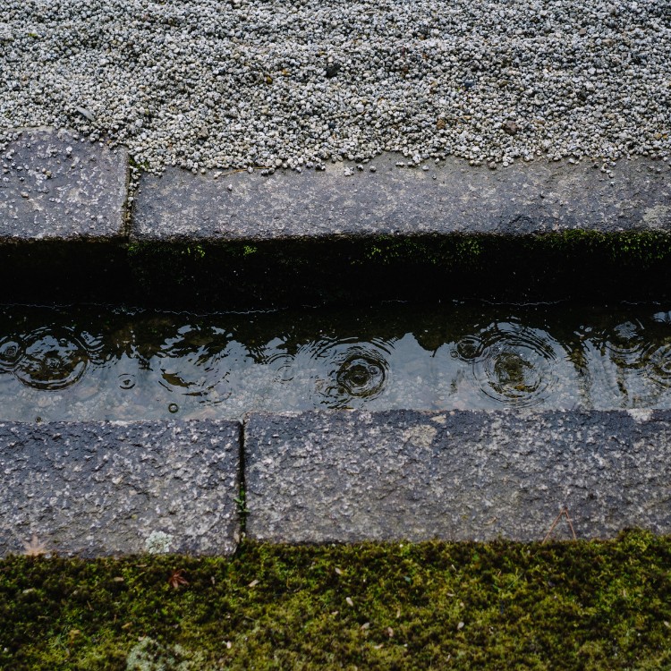 Outdoor services in Ypsilanti, MI Outdoor services in Ypsilanti, MI