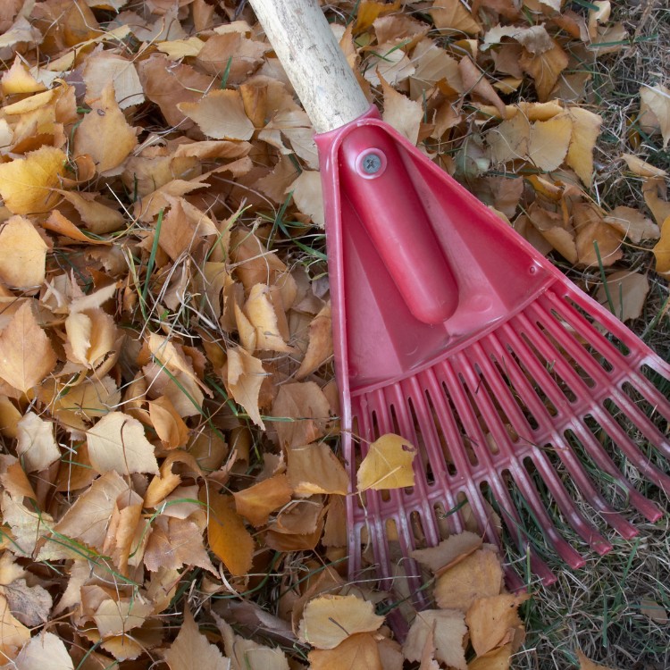 Outdoor services in Ypsilanti, MI Outdoor services in Ypsilanti, MI